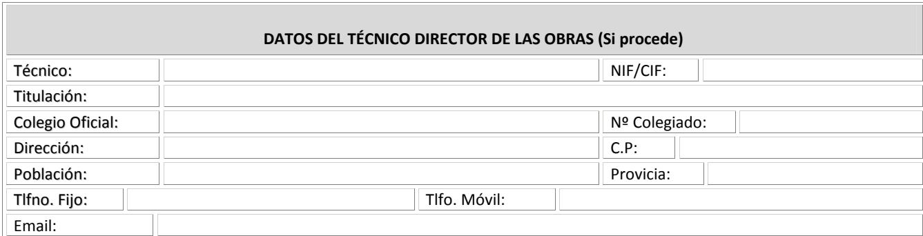 Datos del técnico director que han intervenido en la subsanación de las deficiencias del IEE