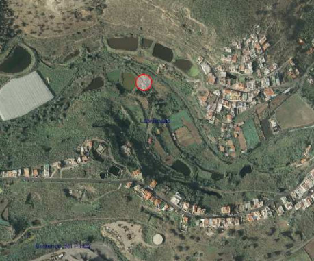Vista aérea de localización de Mascuervo II