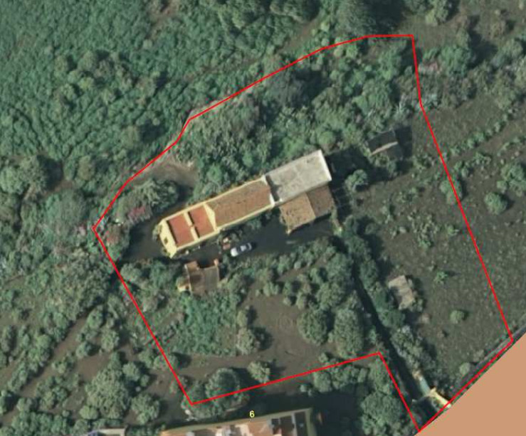 Vista aérea de la parcela de Llanos de María Rivera I